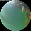 ./images/calvert/underwater/20260818/underwater20260818_201501M.jpg