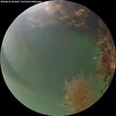 ./images/calvert/underwater/20260818/underwater20260818_205002M.jpg