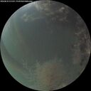./images/calvert/underwater/20260818/underwater20260818_211501M.jpg
