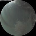 ./images/calvert/underwater/20260819/underwater20260819_055502M.jpg