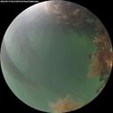 ./images/calvert/underwater/20260819/underwater20260819_061502M.jpg