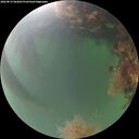 ./images/calvert/underwater/20260819/underwater20260819_062001M.jpg