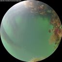 ./images/calvert/underwater/20260819/underwater20260819_064001M.jpg