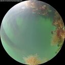 ./images/calvert/underwater/20260819/underwater20260819_064501M.jpg