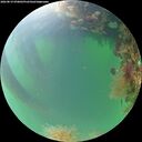 ./images/calvert/underwater/20260819/underwater20260819_070002M.jpg
