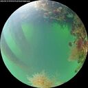 ./images/calvert/underwater/20260819/underwater20260819_070501M.jpg