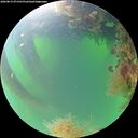 ./images/calvert/underwater/20260819/underwater20260819_071501M.jpg