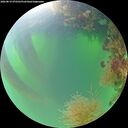 ./images/calvert/underwater/20260819/underwater20260819_072501M.jpg