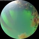 ./images/calvert/underwater/20260819/underwater20260819_073001M.jpg