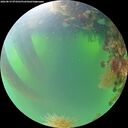 ./images/calvert/underwater/20260819/underwater20260819_073502M.jpg
