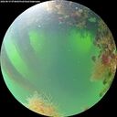 ./images/calvert/underwater/20260819/underwater20260819_074002M.jpg