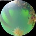 ./images/calvert/underwater/20260819/underwater20260819_074501M.jpg