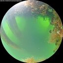 ./images/calvert/underwater/20260819/underwater20260819_080501M.jpg