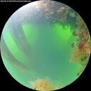 ./images/calvert/underwater/20260819/underwater20260819_081002M.jpg