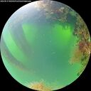 ./images/calvert/underwater/20260819/underwater20260819_082001M.jpg