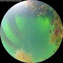 ./images/calvert/underwater/20260819/underwater20260819_082501M.jpg