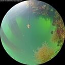 ./images/calvert/underwater/20260819/underwater20260819_085001M.jpg