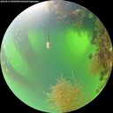 ./images/calvert/underwater/20260819/underwater20260819_090501M.jpg