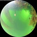 ./images/calvert/underwater/20260819/underwater20260819_092001M.jpg