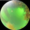 ./images/calvert/underwater/20260819/underwater20260819_092501M.jpg