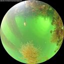 ./images/calvert/underwater/20260819/underwater20260819_093001M.jpg
