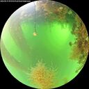 ./images/calvert/underwater/20260819/underwater20260819_093501M.jpg