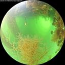 ./images/calvert/underwater/20260819/underwater20260819_094001M.jpg