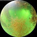 ./images/calvert/underwater/20260819/underwater20260819_094501M.jpg