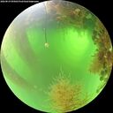 ./images/calvert/underwater/20260819/underwater20260819_095001M.jpg