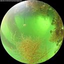 ./images/calvert/underwater/20260819/underwater20260819_095501M.jpg