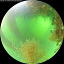 ./images/calvert/underwater/20260819/underwater20260819_100001M.jpg