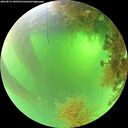 ./images/calvert/underwater/20260819/underwater20260819_100501M.jpg