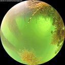 ./images/calvert/underwater/20260819/underwater20260819_101001M.jpg