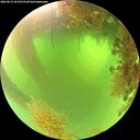 ./images/calvert/underwater/20260819/underwater20260819_101502M.jpg