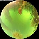 ./images/calvert/underwater/20260819/underwater20260819_102001M.jpg