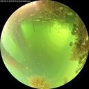 ./images/calvert/underwater/20260819/underwater20260819_102501M.jpg