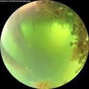 ./images/calvert/underwater/20260819/underwater20260819_103501M.jpg