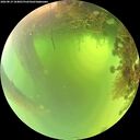 ./images/calvert/underwater/20260819/underwater20260819_104001M.jpg