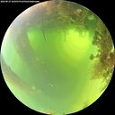 ./images/calvert/underwater/20260819/underwater20260819_104501M.jpg