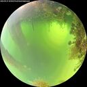 ./images/calvert/underwater/20260819/underwater20260819_105001M.jpg