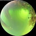 ./images/calvert/underwater/20260819/underwater20260819_105501M.jpg
