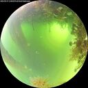 ./images/calvert/underwater/20260819/underwater20260819_110001M.jpg