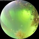 ./images/calvert/underwater/20260819/underwater20260819_111001M.jpg
