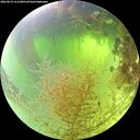 ./images/calvert/underwater/20260819/underwater20260819_111501M.jpg
