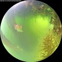./images/calvert/underwater/20260819/underwater20260819_112501M.jpg