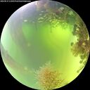 ./images/calvert/underwater/20260819/underwater20260819_113001M.jpg