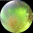 ./images/calvert/underwater/20260819/underwater20260819_114001M.jpg