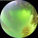 ./images/calvert/underwater/20260819/underwater20260819_115501M.jpg