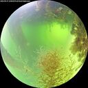 ./images/calvert/underwater/20260819/underwater20260819_120001M.jpg