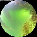 ./images/calvert/underwater/20260819/underwater20260819_120501M.jpg